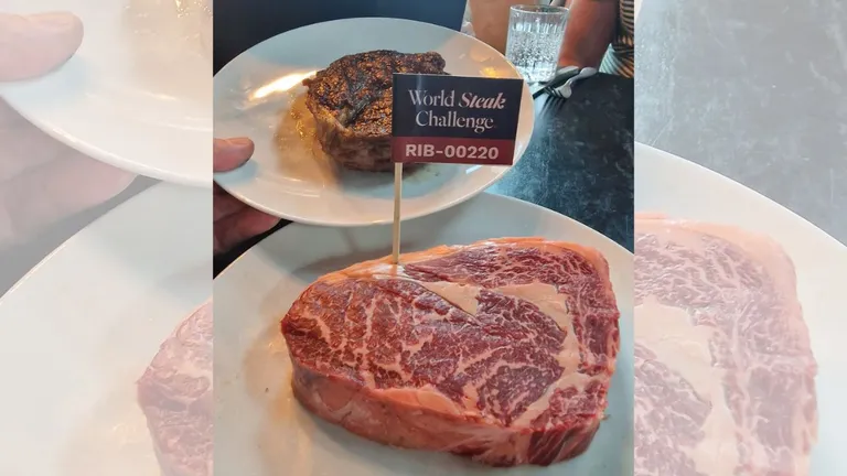 certamen mejor chuleton del mundo